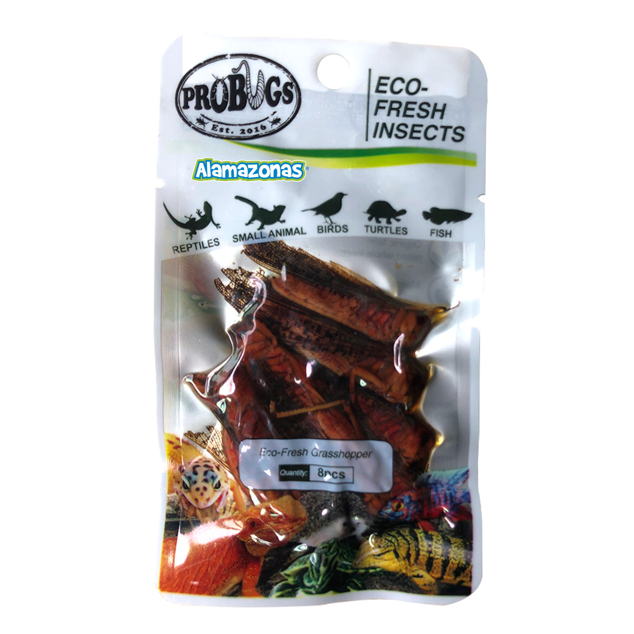 Saltamontes Alimento Fresco Alamazonas Grasshopper Probugs Eco-Fresh Insects