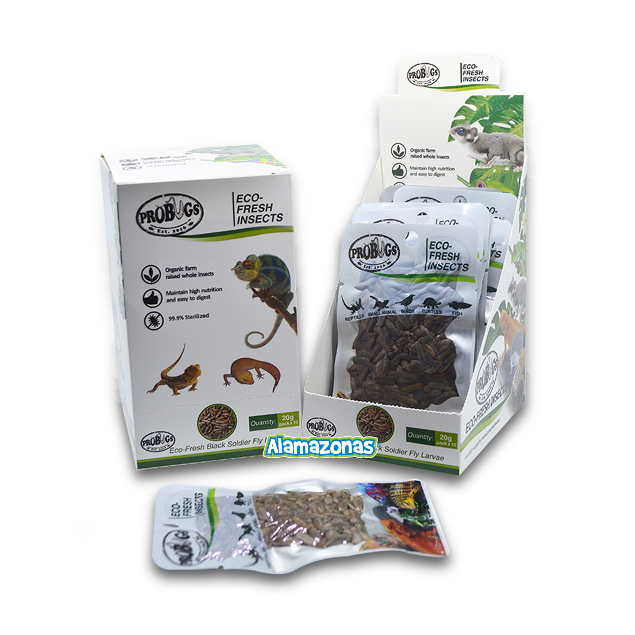 Pack 10 Larva De Mosca Alimento Fresco Black Soldier Fly Probugs Eco-Fresh Insects