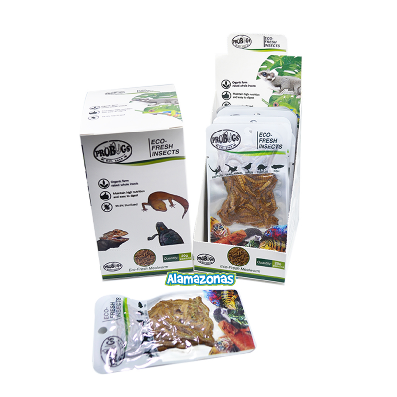 Kit 10 Tenebrio Molitor Gusanos Alimento Fresco Alamazonas Meal Worm Probugs Eco-Fresh Insects